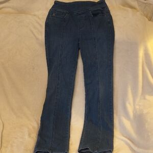 Belle by Kim Gravel Indigo Straight Leg Jeans